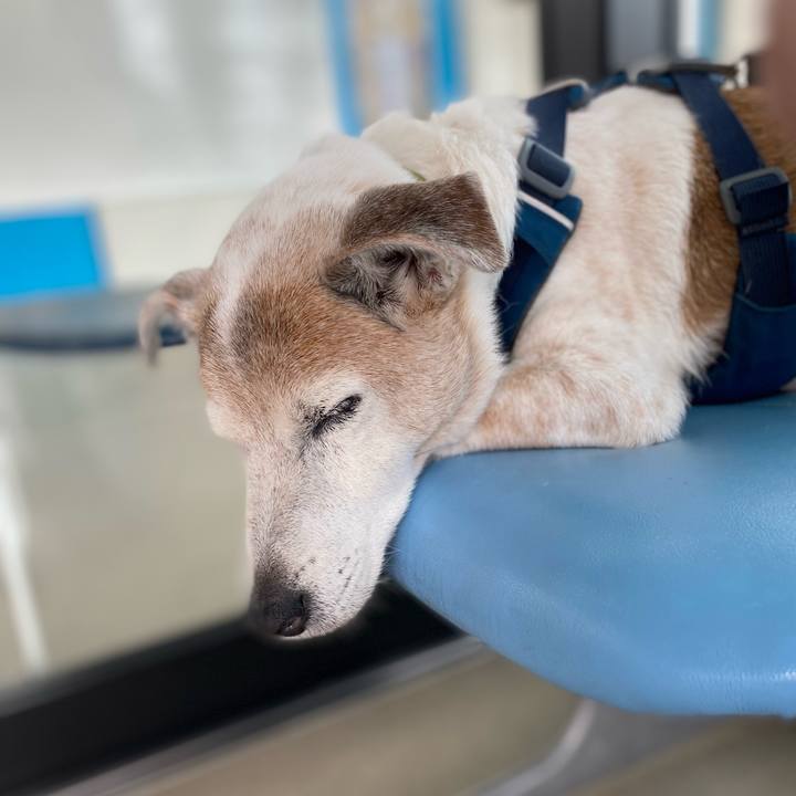 09a1b829 6187 46a8 9e71 4abb466b9f15 1683345631272