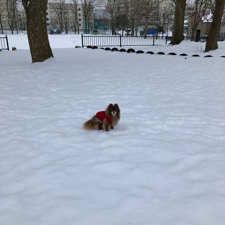 09a1f1bc 1455 4f49 8ed4 01a3b1b3fa4a 1645743507234