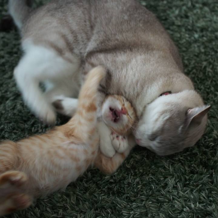 09a1fa56 499f 4f03 9789 7b220d1a9d3c 1572747192843