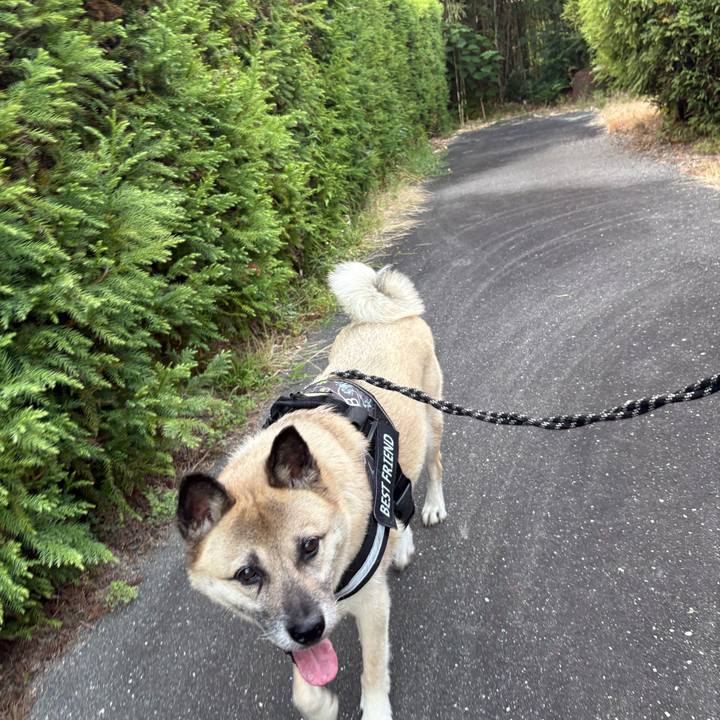 09a20252 6015 41c3 978c fd4458034efb 1751977116689