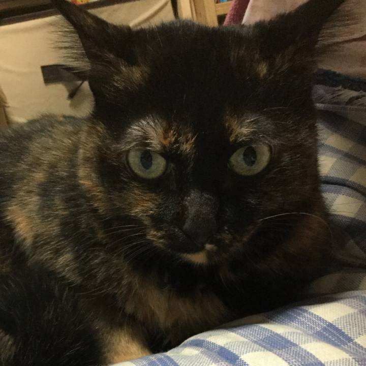 09a21564 ca8a 4650 b179 5410c7b4516c 1576150711566