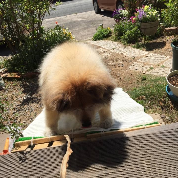 09a21d47 5466 43ae b8f2 d41d3c55dc6a 1558566683991