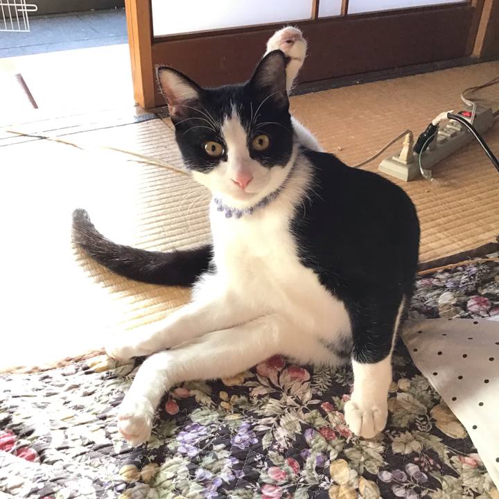 09a226b5 7897 475e 9bcc ca3e5e6ad298 1640579672285