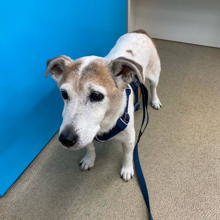 09a24009 98f2 4787 84d1 86a2be7fc309 1654249292724