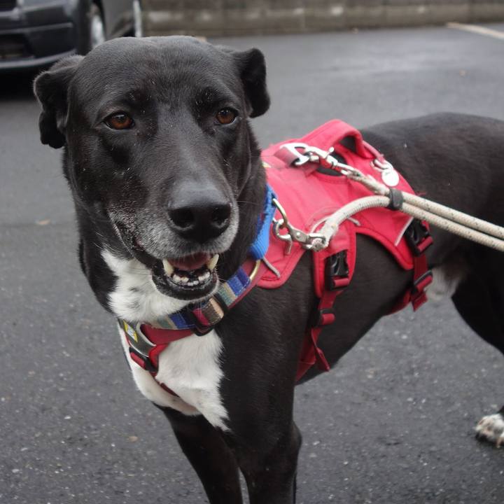 09a27cbf f5a4 4a77 b75b ecf020cfadf7 1650069140229