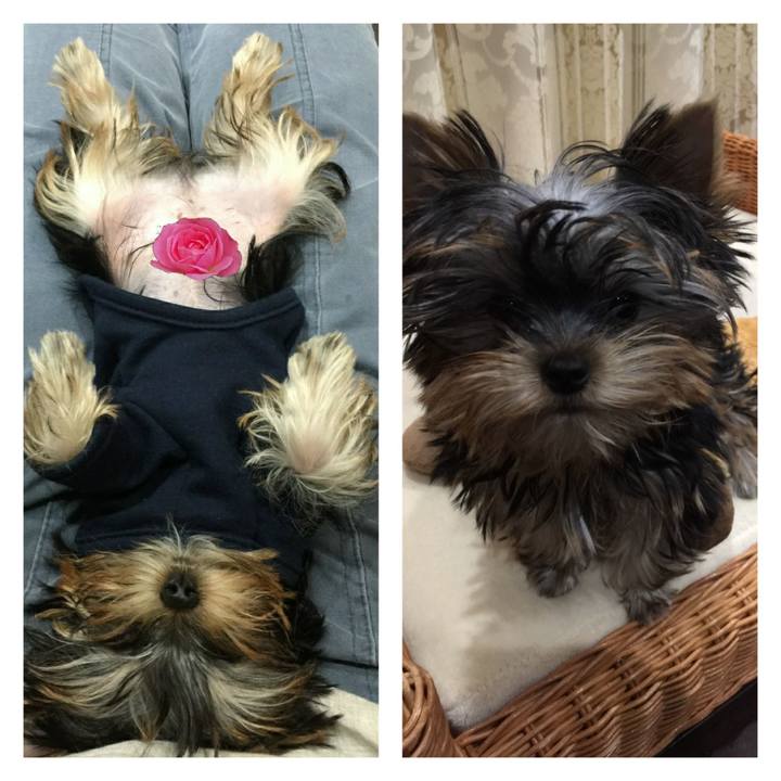 09a282f9 3492 469e 8c16 52dab4fcd372 1589864374558