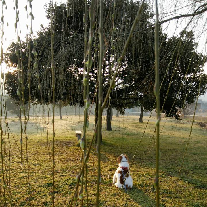 09a295d7 a9c1 42f3 b652 26b8d12158b5 1551484966051