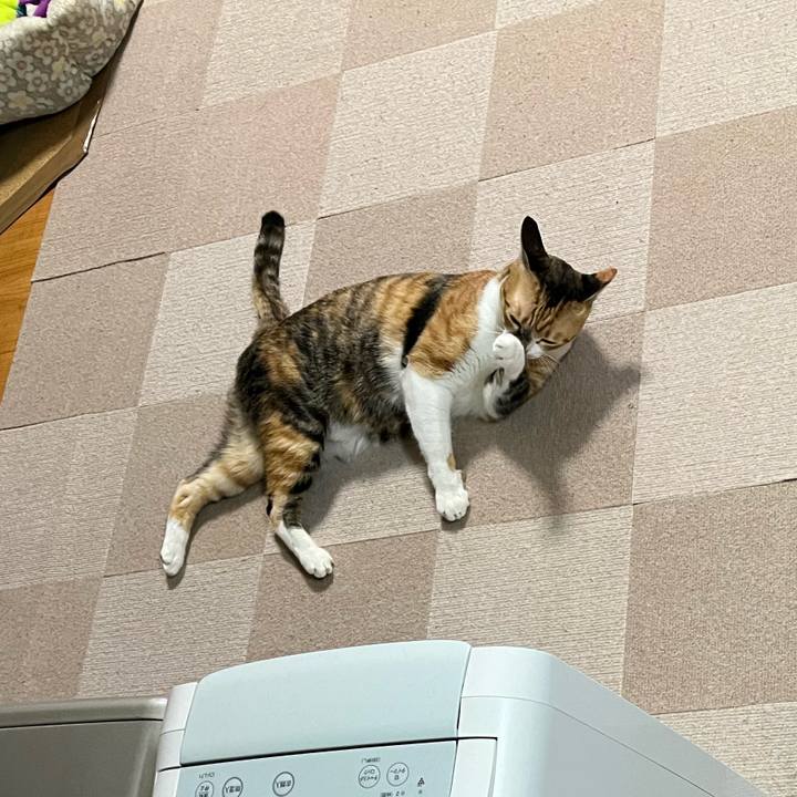 09a2a374 e321 44aa b825 049cbe52874c 1742608006471