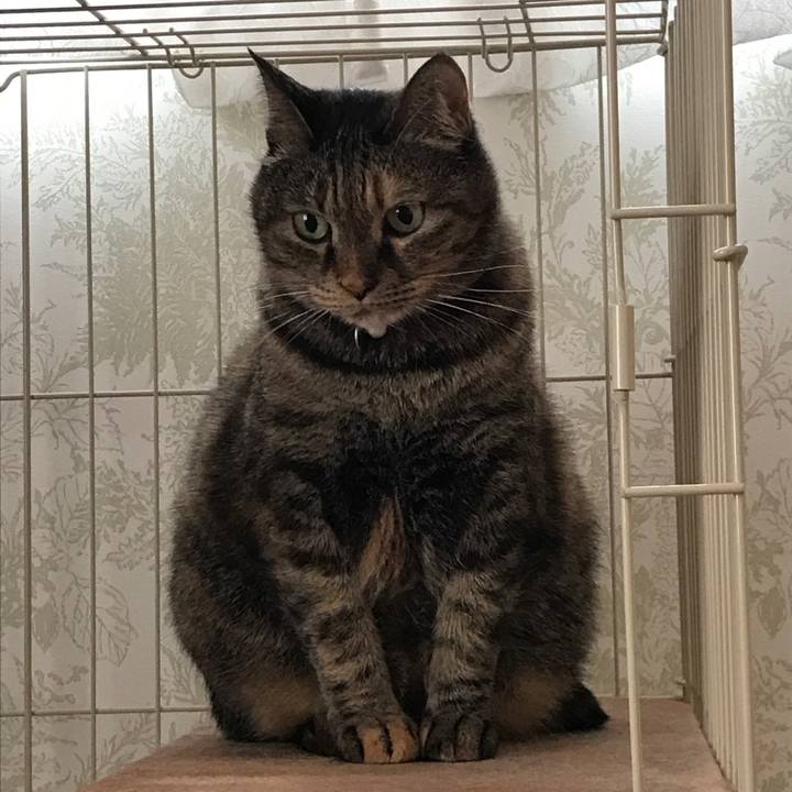 09a2a9d7 a15d 4acd 8b14 a49f7eeb43e7 1555564165218