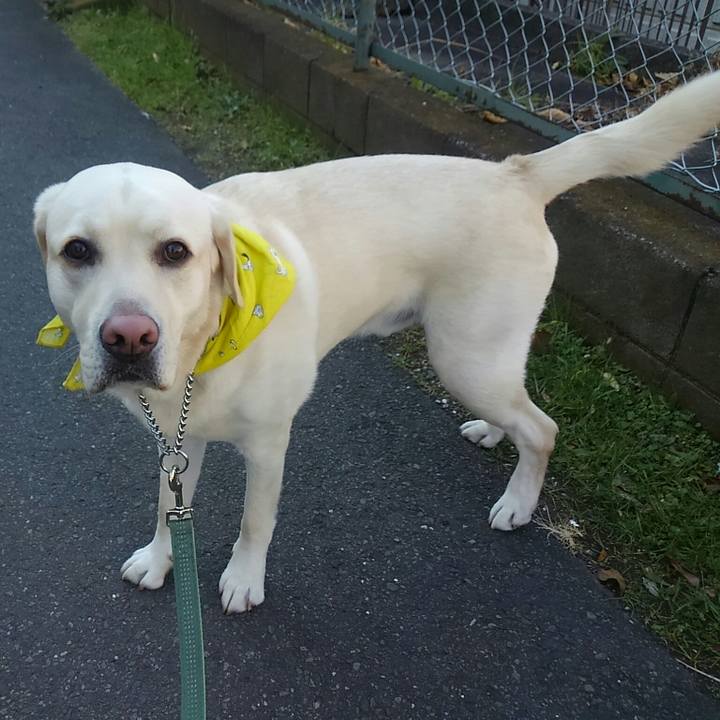 09a2e7a2 3b26 48cc ad46 c66b7cad1f10 1512965552551