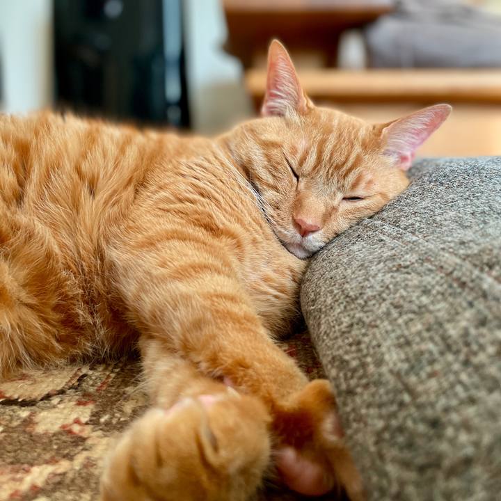 09a2f394 aac7 4ff6 828c c110a269af7e 1769173104923