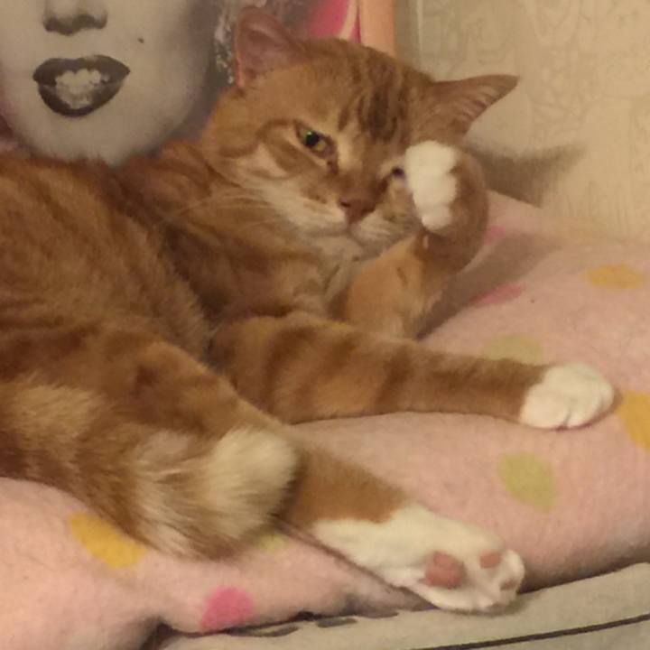 09a2faa4 ff81 4237 bcd8 30d27dad7f3a 1552133223991