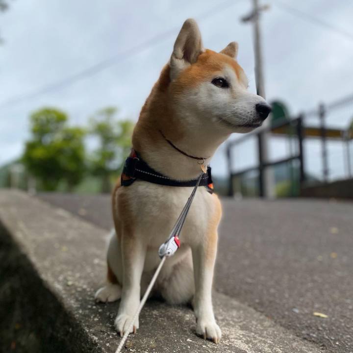 09a312d1 7bf1 4071 ab95 90579808cbf9 1631111018487