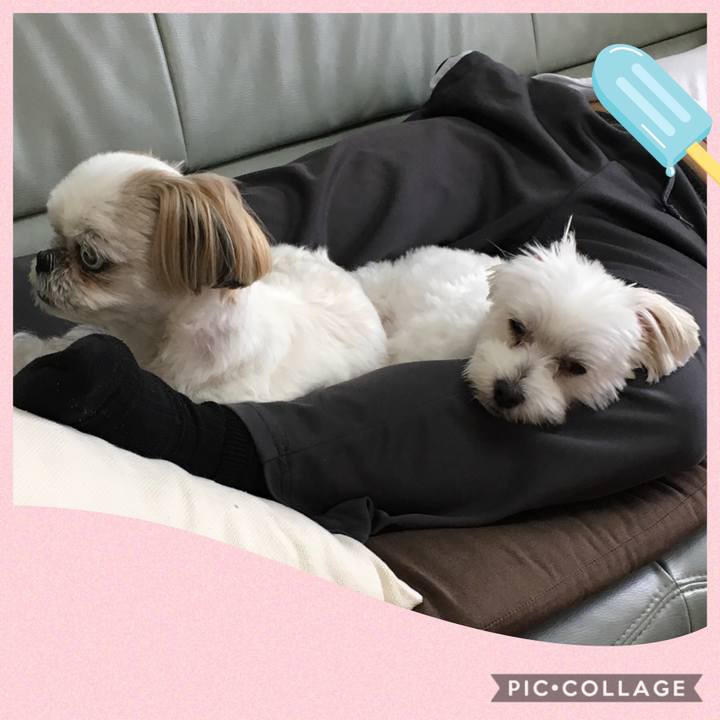 09a33b6e e836 4fcb b91e 5a4256926d3e 1565782003946