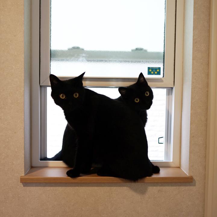 09a33d7d 9913 4bb0 bd3f 6e4a3bb4347c 1564357646998