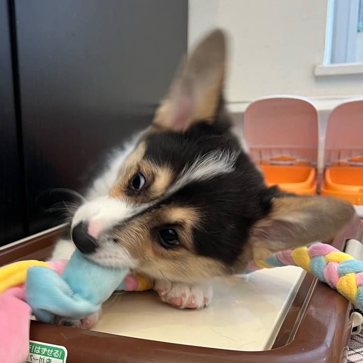 09a36724 2833 4818 8936 06a1ca0c1477 1769213415345