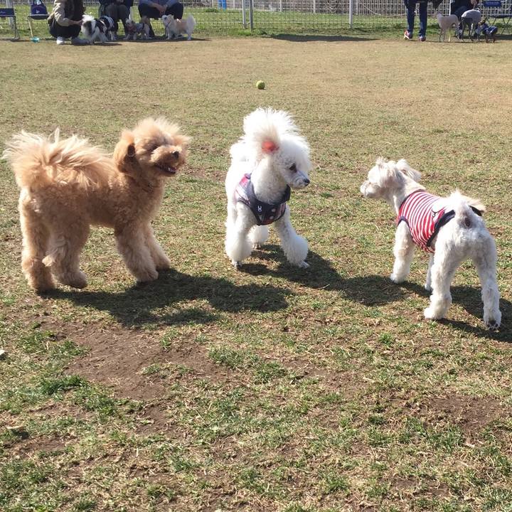 09a3720b 8208 4327 a9c8 a31315b09d78 1520149302287