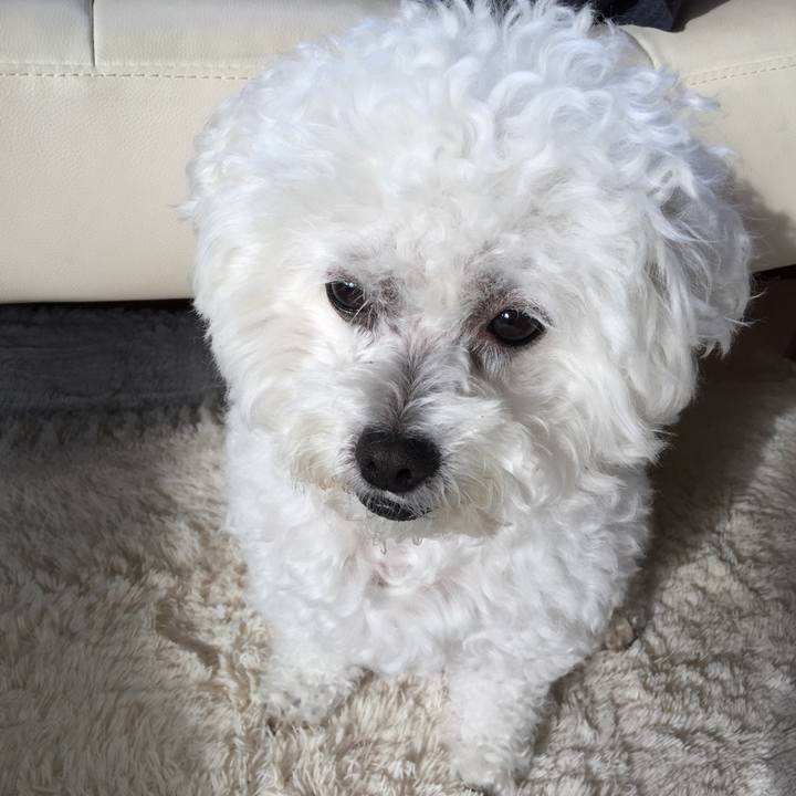 09a3acd3 5b26 4d0e 9d28 80accedab04b 1539645306848