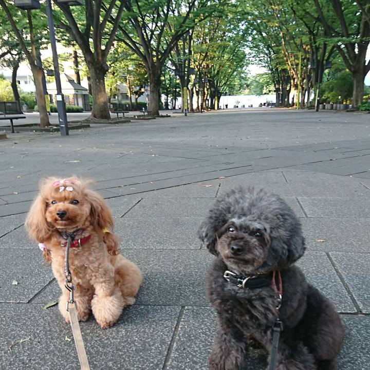 09a3d990 9146 4c59 8733 59285927096f 1558908997166