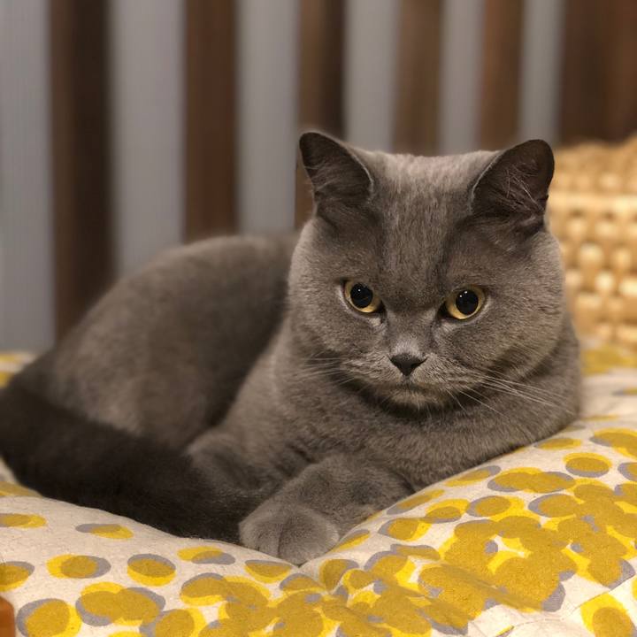 09a444b5 55da 4b76 90cd 9ff87732964e 1570617011044