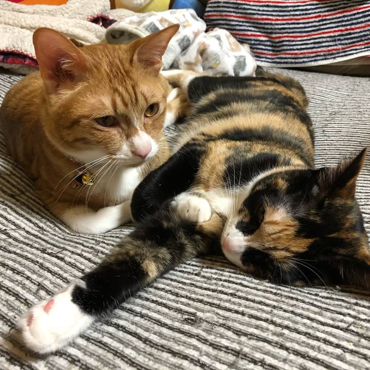 09a44ab9 c77f 47df 9d33 52258b09ff2d 1572090625800