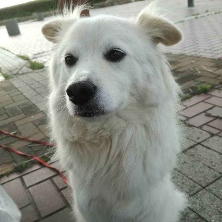 09a45794 816f 42ff 9e90 a7dd0ddc2120 1524701347673