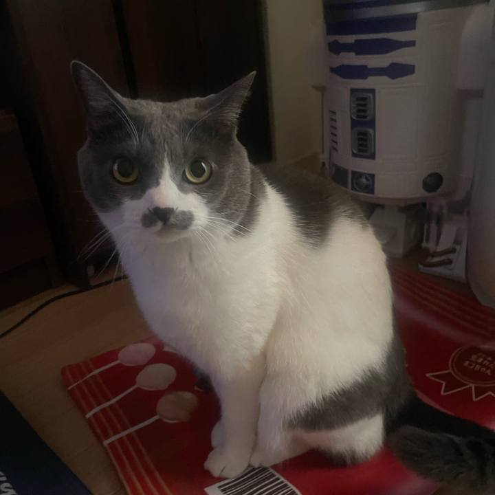 09a460c4 58e2 43d1 83a7 7646b16f0ce1 1733176889575