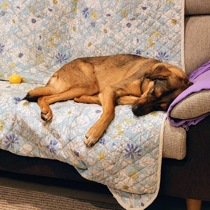 09a496cb d00d 45c5 8596 1ab6ab239c0b 1714989776680