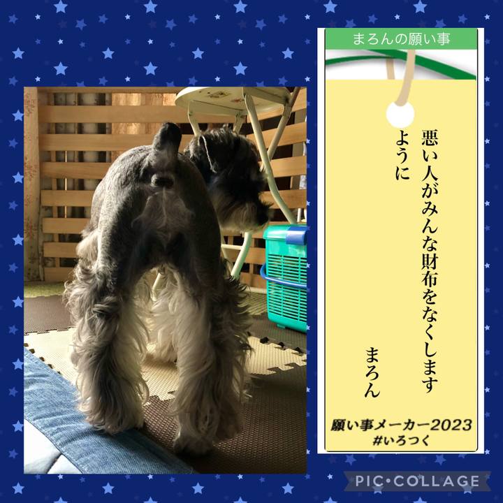 09a4a914 bdd4 47cb a3b9 80b8ea298f78 1688723463891