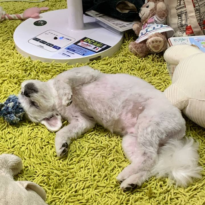 09a4c371 096e 40b9 bbb1 46bfce69f8d9 1654527182688