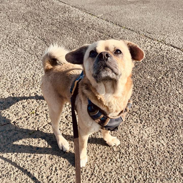 09a4d87c f72d 41dc 856b 92939a8f86b6 1773230481082