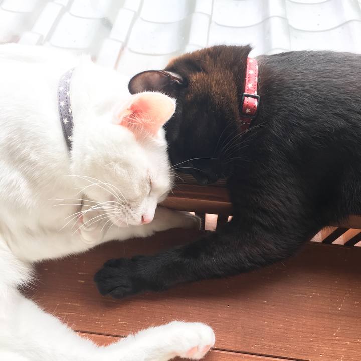 09a4ec8a 3478 4fd6 935c 455858a4aba9 1530333209580