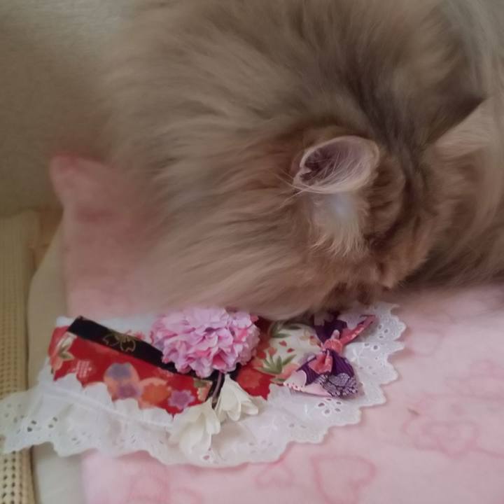 09a4f24c 58cf 40b3 8d92 ae0ebb86c9d0 1611546594830