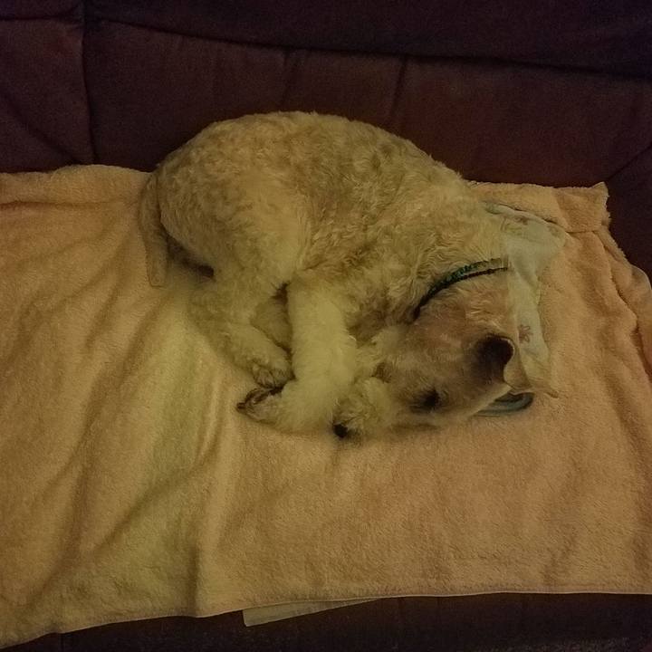 09a516de 0700 48b6 af72 ed138de992db 1570665285961