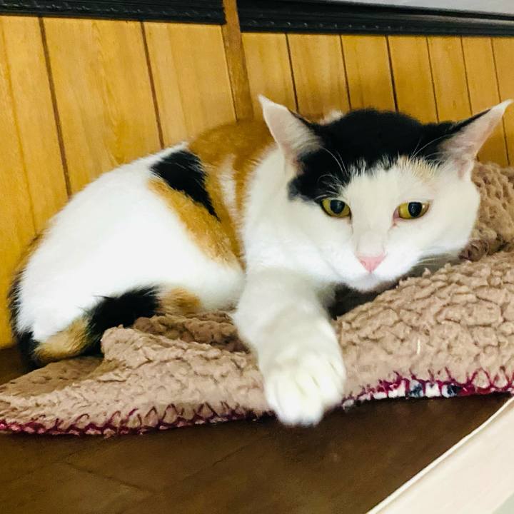 09a52380 82d3 46cf 85e2 ddf989098e8d 1699053535851