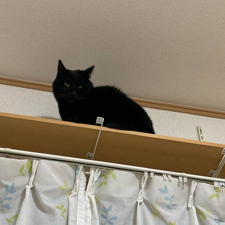 09a52ca3 5a00 401a 854a e82db9ead485 1773702705336