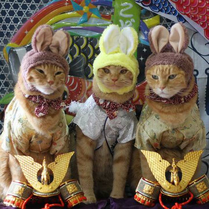 09a53af3 04a0 4c01 b58d 92beddb126c0 1557016195791