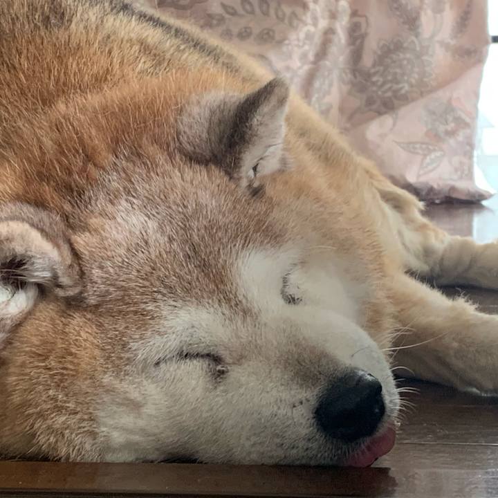 09a547e1 638e 4a99 9f30 2712c4549a96 1653018591191