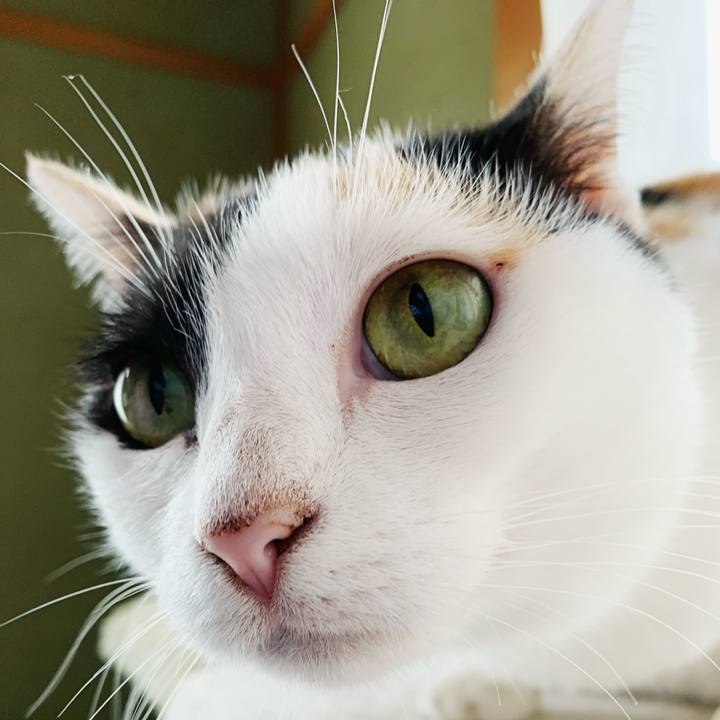 09a57ef1 310b 4c31 9ab5 18fbb83e0edc 1597717697972