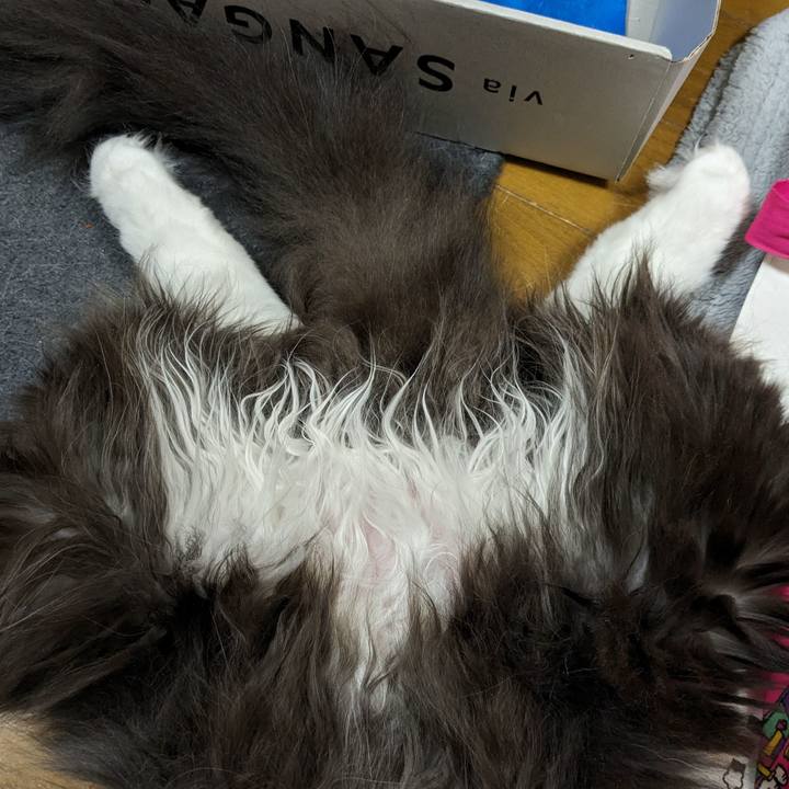 09a5859b 8fc4 492f 982c 82e83d12ad46 1712996933303