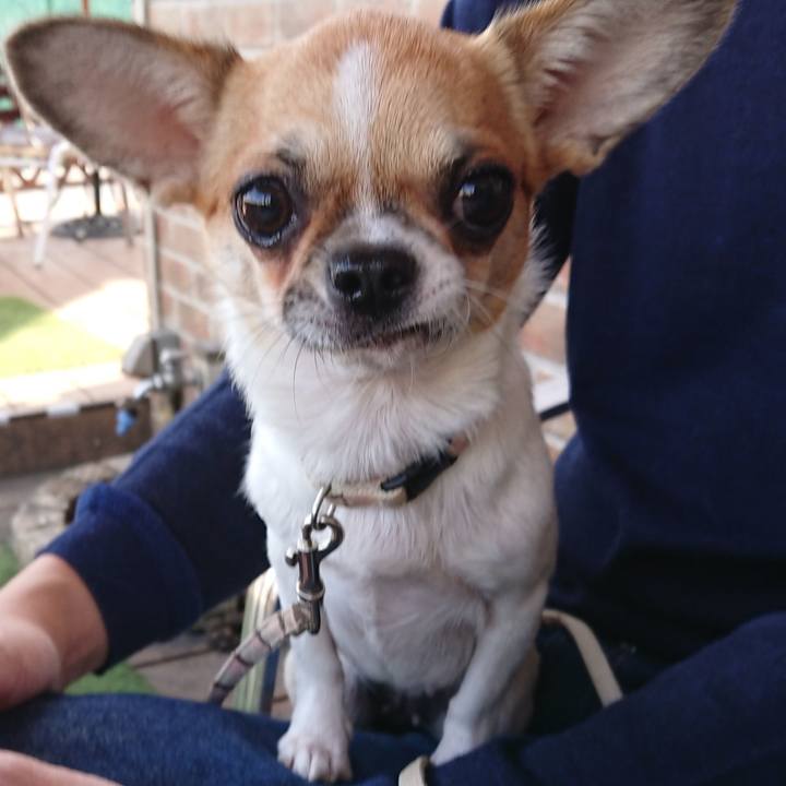 09a5aa39 f8d0 4312 867b de3a6b798c3e 1542100196986