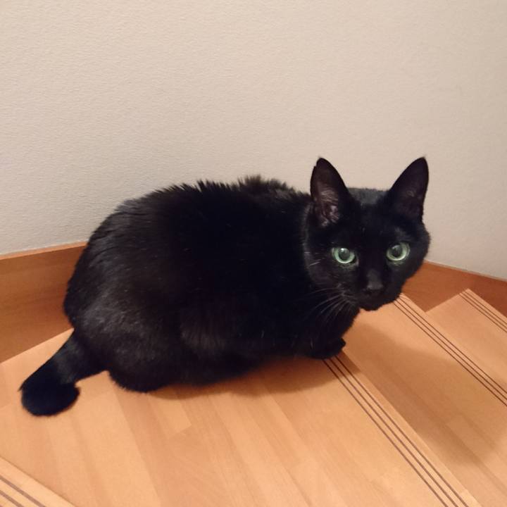 09a5ad59 f6d2 4873 8f4c 1aa4f2a75602 1551704365670