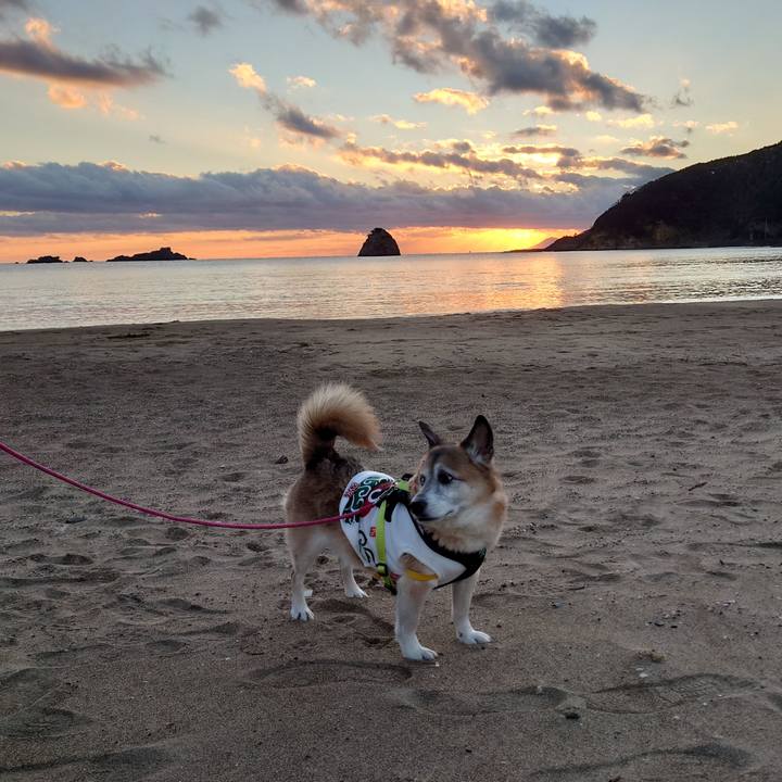 09a5b28e 1663 43ac ba95 6cc298d74ea0 1641471732731