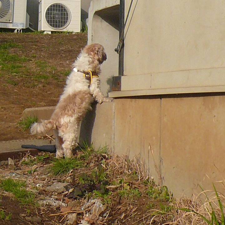 09a5b77f 35eb 4805 8f78 5425988668b5 1524113485320