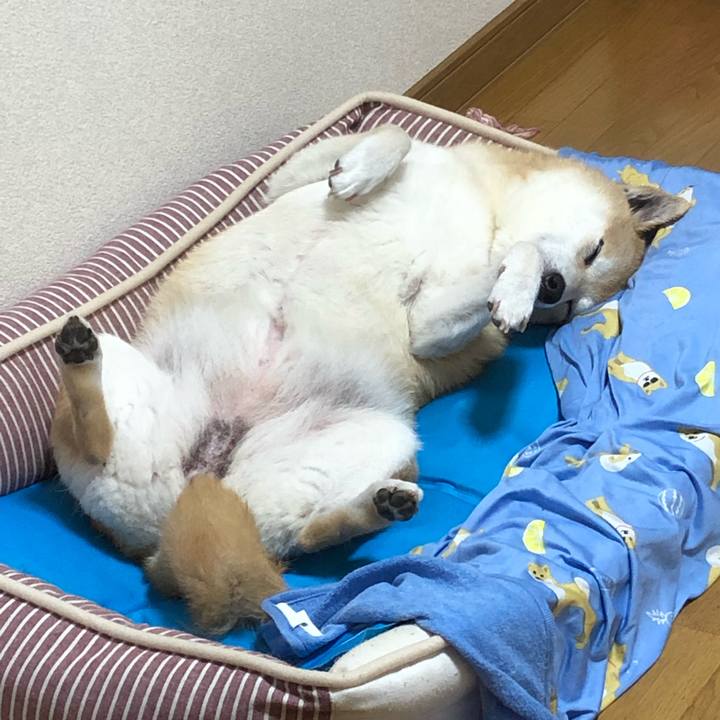 09a609be 8767 4fdf b726 7eb882857e79 1594622609603