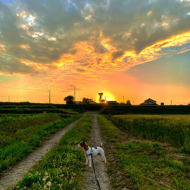 09a6118e c7d5 4d1f a2cf 8d165e1220f3 1557400196824