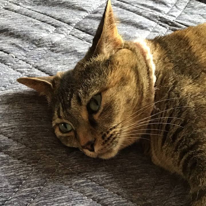 09a6925c 1aec 41d0 a916 33406ae1e372 1719476272029