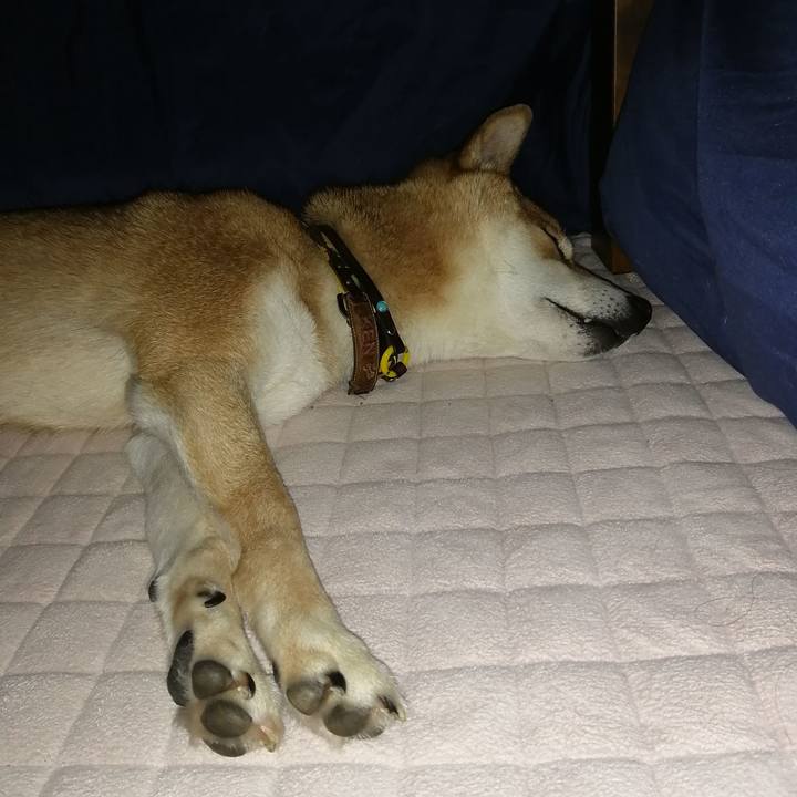 09a69b7c 9fed 4a61 9099 c16a8d5607b6 1607782398398