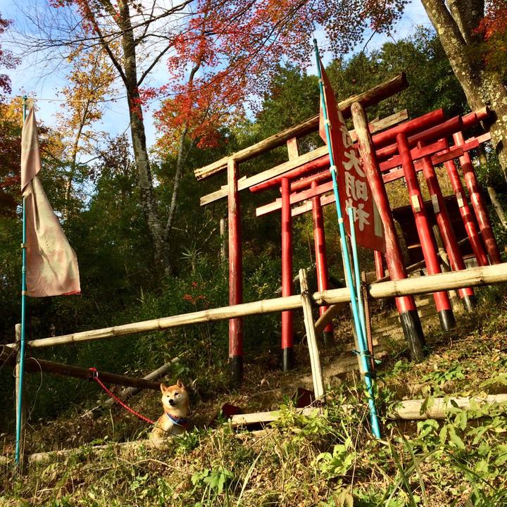 09a6d238 0afd 4ff0 b131 4f72ce2ab42a 1510744823075