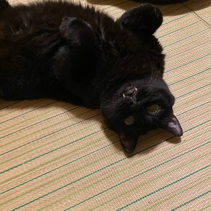 09a6e6ae e006 40c0 8bd9 df33434b2c46 1598354461619